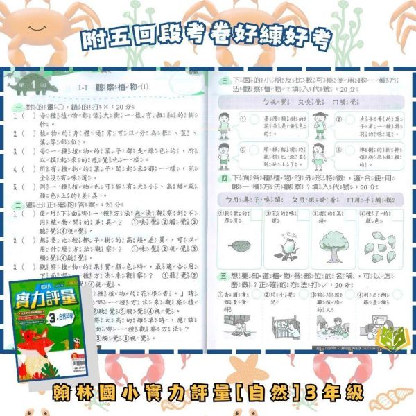 【預購】翰林國小 115上｜【實力評量】｜國小1~6年級｜國語/數學/生活/自然/社會｜附練習簿/解答 翰林國小115上,實力評量,國小評量,國語評量,數學評量,生活評量,自然評量,社會評量,練習簿,附解答