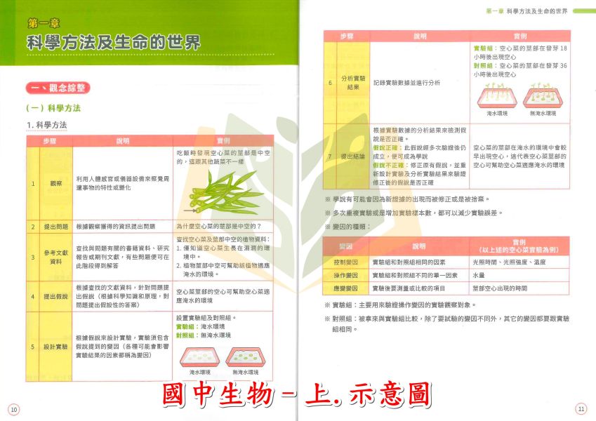 中華未來國中 國中會考制霸 素養講義題本 國文 生物 地理 歷史 公民 附解答【國中會考】 