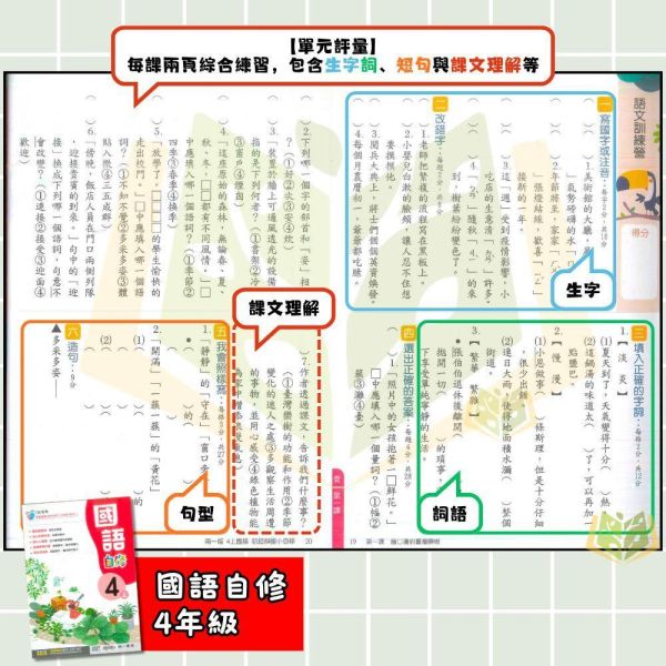 南一國小 115上｜【國小自修】新超群自修｜國小1~6年級｜國語/數學/生活/自然/社會｜附課本/習作解答 南一國小115上,新超群自修,國小自修,國語自修,數學自修,生活自修,自然自修,社會自修,課本解答,習作解答