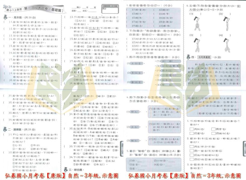弘碁國小 114上 最新版《國小月考卷/段考卷》適用康軒 國小1~6年級 國語/數學/生活/自然/社會 附解答【考前首選/月考必備】 弘碁月考卷、國小段考卷、康軒版評量、114上最新版、國語數學自然社會、國小考前練習、期末期中考卷