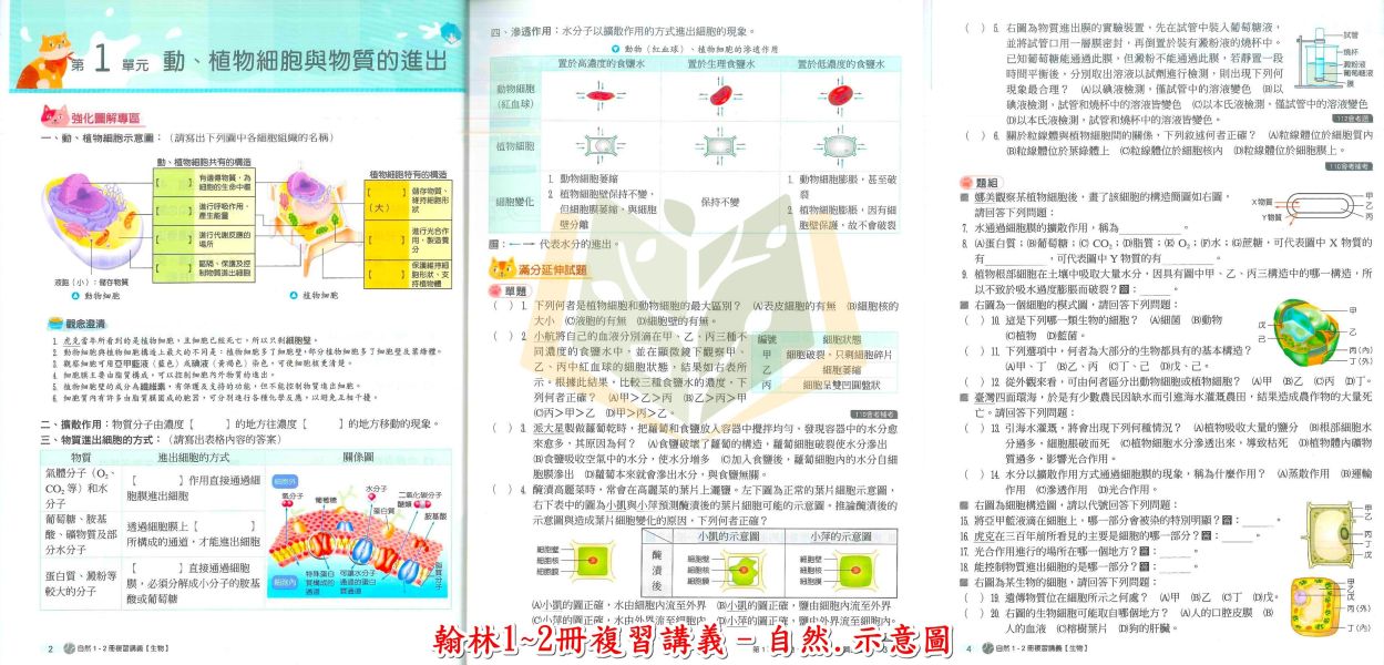 翰林國中 大滿貫1~2冊複習講義 國文 英語 數學 自然【生物】地理 歷史【升國二暑假先修】 