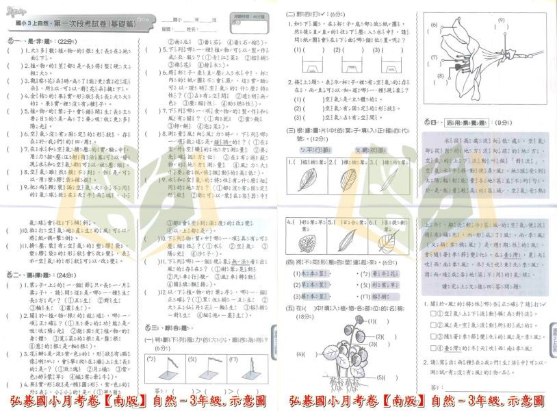 弘碁國小 114上 最新版《國小月考卷/段考卷》適用南一 國小1~6年級 國語/數學/生活/自然/社會 附解答【考前首選/月考必備】 弘碁月考卷、國小段考卷、南一版評量、114上最新版、國語數學自然社會、國小考前練習、期末期中考卷