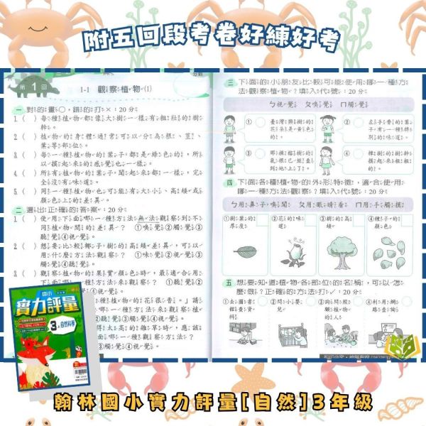 翰林國小 114下【國小評量】實力評量 國小1~6年級 國語 數學 生活 自然 社會 附練習簿/解答 114上, 翰林國小, 國小評量, 實力評量, 國語, 數學, 自然, 社會, 生活, 1~6年級, 練習簿, 附解答, 課後練習