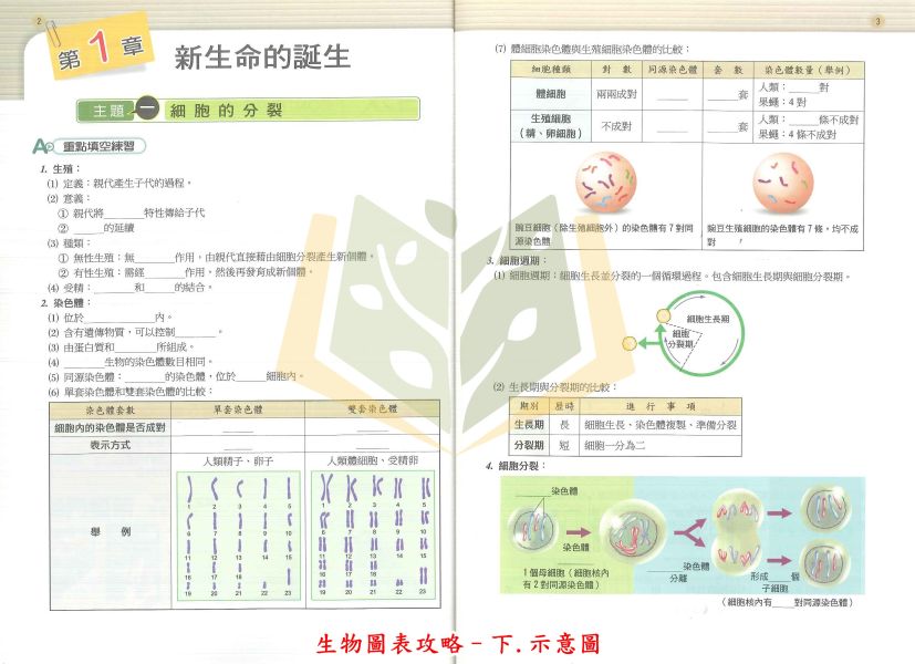 南一國中 高手 自然圖表 生物圖表攻略 上冊 下冊【國中數理輔材】 