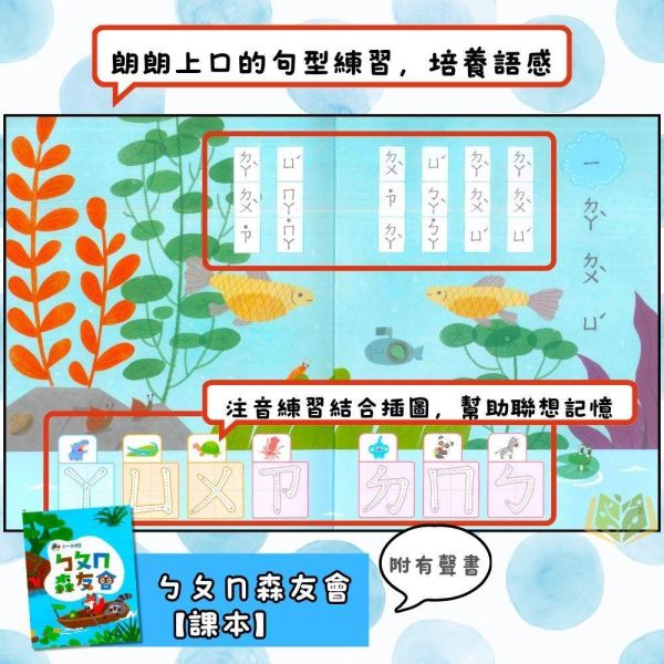 升小一暑假先修｜南一 ㄅㄆㄇ&123森友會套書｜國語數學生活評量卷（無解答） 小一先修教材,幼小銜接,國語練習本,數學練習本,親子共讀,學前準備,閱讀能力,基礎計算,注音教材,幼兒學習