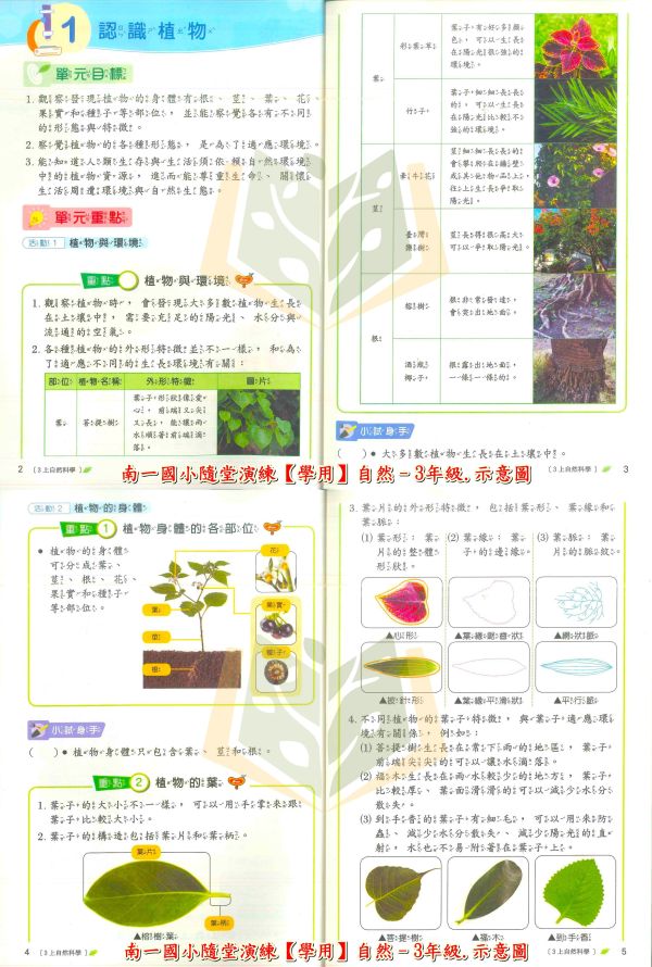 南一國小 114上 最新版 隨堂演練《學生用/教師用》國小1~6年級 國語 數學 自然 社會 南一隨堂演練、114上國小教材、學生版無解答、教師版解答]、國語.數學.自然.設社會、1-6年級國小用書