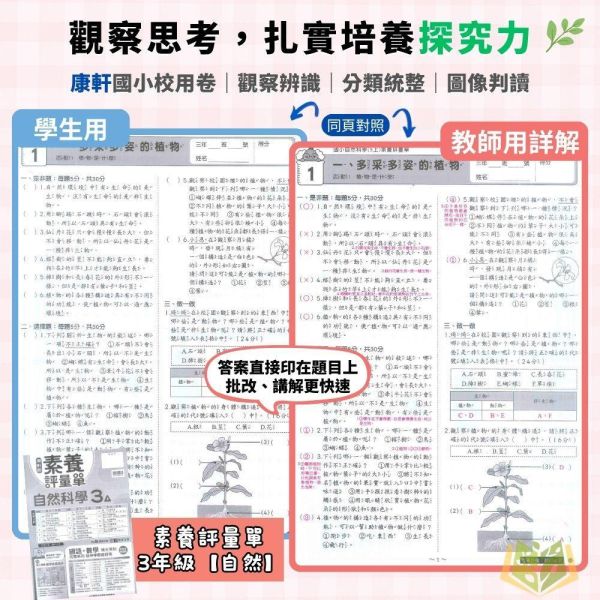 康軒國小 115上｜【國小校用卷】國小素養評量單｜國小1~6年級｜國語/數學/生活/自然/社會｜《學用+解答》 康軒國小115上,國小校用卷,素養評量單,康軒評量單,國語評量,數學評量,生活評量,自然評量,社會評量,學用,解答