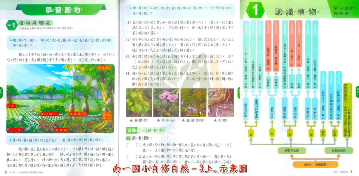 南一國小114上 最新版《國小自修》新超群自修 1~6年級 國語 數學 生活 自然 社會 附課本 習作解答 附解答 114上, 新超群自修, 國小自修, 南一版, 國語, 數學, 自然, 社會, 生活, 1~6年級, 附課本解答, 附習作解答