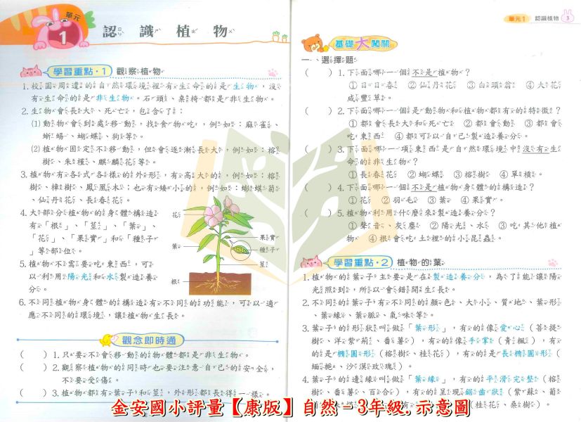 金安國小 國小評量 講義式評量 適用康軒 翰林 南一114上 國小1~6年級 數學 自然 附解答 附5回月考複習卷 