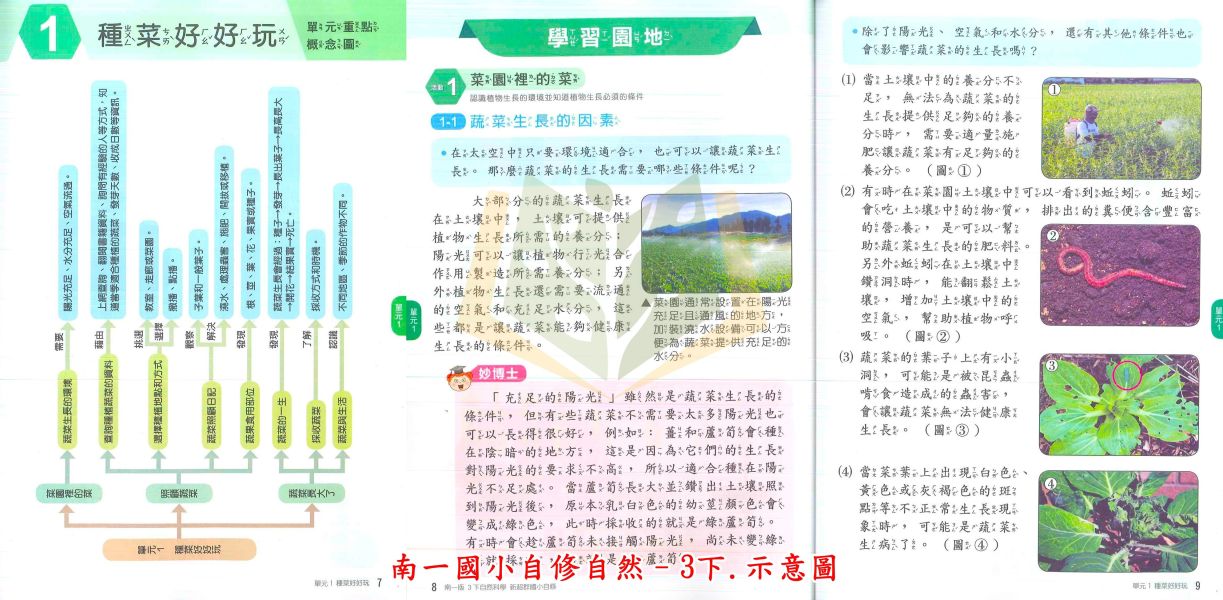 南一國小 國小自修 新超群自修 114上 113下 國小1~6年級 國語 數學 生活 自然 社會 附課本 習作解答 附解答 