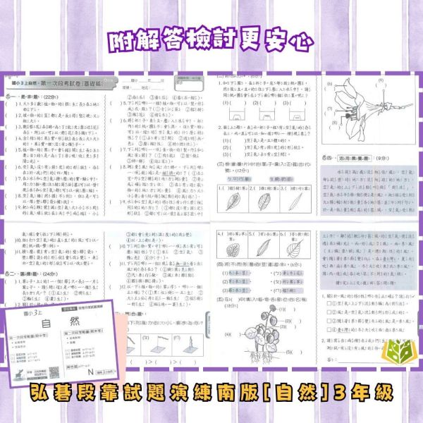 弘碁國小 114下 最新版《國小月考卷/段考卷》適用南一 國小1~6年級 國語/數學/生活/自然/社會 附解答【考前首選/月考必備】 弘碁月考卷、國小段考卷、南一版評量、114下最新版、國語數學自然社會、國小考前練習、期末期中考卷