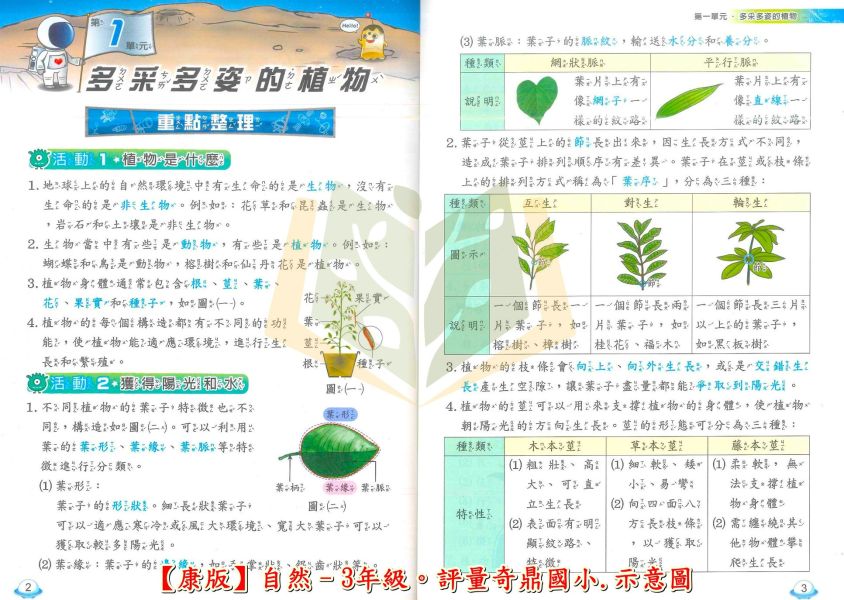 奇鼎國小 國小評量 課堂精華評量 適用康軒 114上 113下 國小1~6年級 國語 數學 生活 自然 社會 附5回月考複習卷 