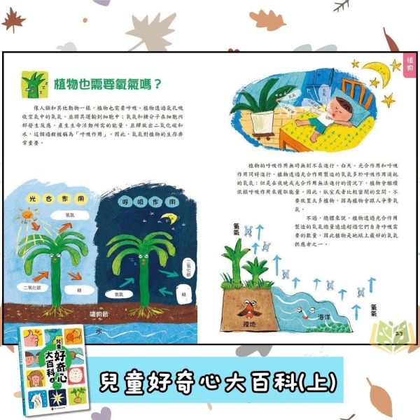 螢火蟲國小【兒童好奇心大百科】上/下｜適用8歲以上【無注音】｜【圖書】 兒童好奇心大百科、科普圖書、國小閱讀、無注音、親子共讀、生活常識、兒童百科、提問學習、6-12歲適讀、科學知識書