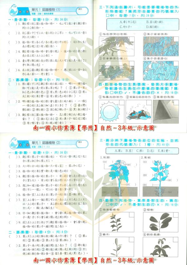 南一國小 114上 最新版 作業簿《學生用/教師用》國小1~6年級 國語 數學 生活 自然 社會 南一作業簿、國小114上、學生用教材、教師用解答、國語.數學.生活.自然.社會、1~6年級國小用書