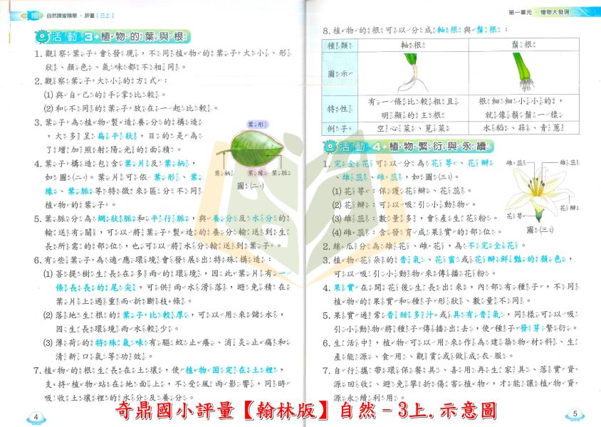 奇鼎國小 114上 最新版 國小評量《課堂精華評量》適用翰林 國小1~6年級 國語 數學 生活 自然 社會 附解答 附5回月考複習卷 114上, 奇鼎, 國小評量, 課堂精華評量, 翰林版, 國語, 數學, 自然, 生活, 社會, 附解答, 月考複習卷, 安親班, 條列重點, 考前複習