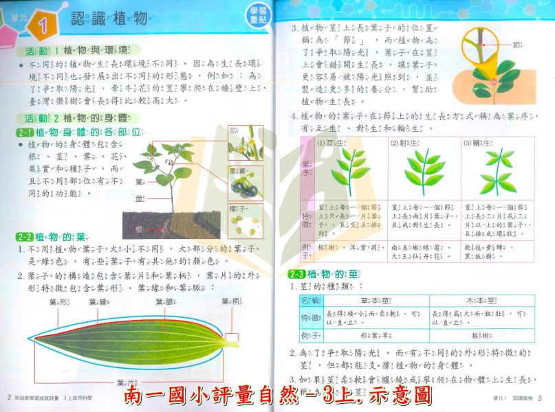 南一國小 評量 114上 113下 國小1~6年級 國語 數學 生活 自然 社會 附作業簿 附解答 