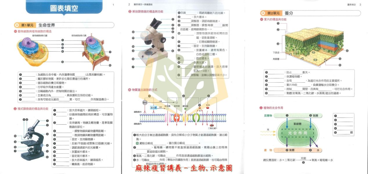 康軒國中 115會考 麻辣複習講義 國文 英語 數學 生物 理化 地科 地理 歷史 公民 附解答【國中會考】 