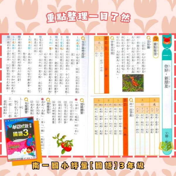 【預購】南一國小 114上｜【國小評量】學習成就評量｜國小1~6年級｜國語/數學/生活/自然/社會｜附練習簿/解答 南一國小115上,學習成就評量,國小評量,國語評量,數學評量,生活評量,自然評量,社會評量,練習簿,附解答