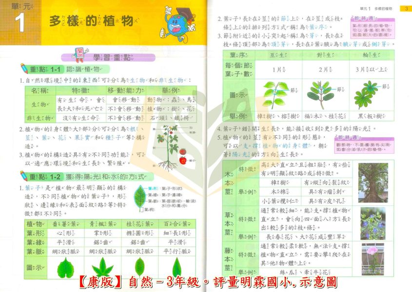 明霖國小 國小評量 課堂評量 適用康軒 114上 113下 國小1~6年級 國語 數學 生活 自然 社會 附解答 附5回月考複習卷+1回全冊複習卷 