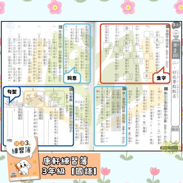 康軒國小 115上 最新版 練習簿《學生用/教師用》國小1~6年級 國語 數學 生活 自然 社會 康軒練習簿、國小練習簿、學生用無解答、教師用解答本、115上、國語、數學、自然、生活、社會、國小1~6年級