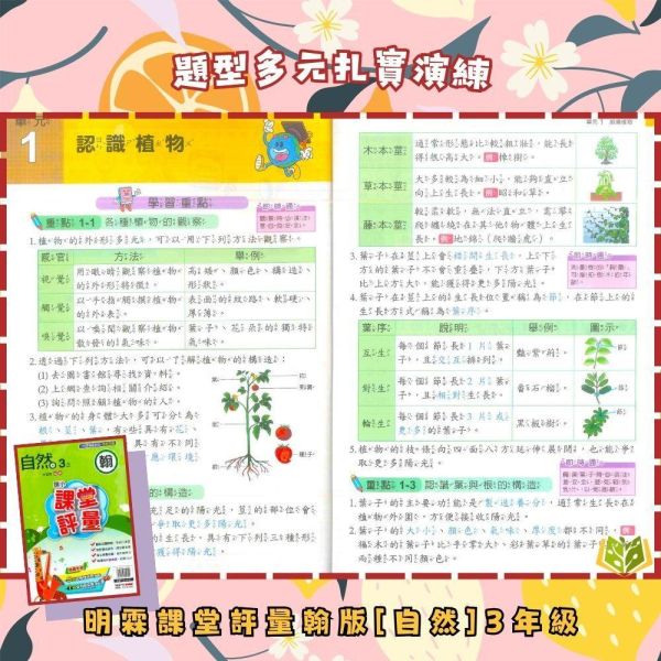 明霖國小 115上｜【課堂評量】國小評量｜適用翰林版｜國小1~6年級｜國語/數學/生活/自然/社會｜附解答＋5回月考複習卷＋1回全冊複習卷 明霖國小115上,課堂評量,翰林版,國小評量,國語評量,數學評量,生活評量,自然評量,社會評量,月考複習卷,全冊複習卷,附解答
