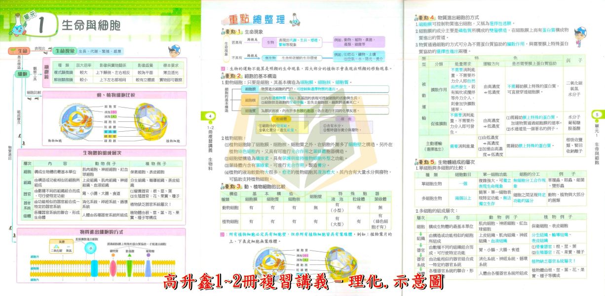 高升鑫國中 1~2冊複習講義 數學 生物 附解答【升國二暑假先修】 
