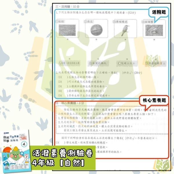 良品國小 115上 最新版國小測驗卷《活潑測驗卷》適用南一 國小1~6年級 國語 數學 自然 社會 附解答＋雙面試題 115上, 良品, 測驗卷, 活潑測驗卷, 素養測驗卷, 國小測驗卷, 南一版, 國語, 數學, 自然, 社會, 附解答, 雙面試題, 可撕式, 考前複習, 模擬考卷
