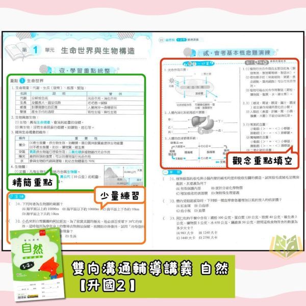 國中暑假先修｜金安國中 雙向溝通輔導講義 1-2冊 全科（國文／英語／數學／自然／地理／歷史／公民）升國二（附解答） 國中先修,暑假教材,升國二,全科複習,金安教材,雙向溝通,國文英語數學,自然社會,附解答,國中講義