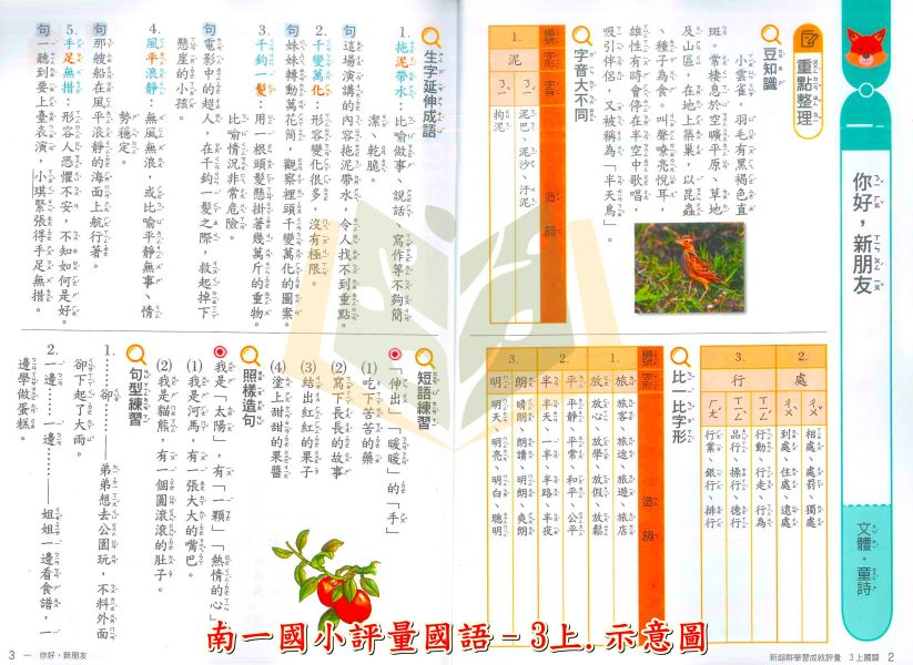 南一國小 評量 114上 113下 國小1~6年級 國語 數學 生活 自然 社會 附作業簿 附解答 