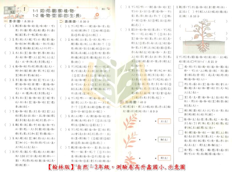 高升鑫國小 國小測驗卷 直說測驗卷 適用康軒 翰林 南一 114上 國小1~6年級 國語 數學 自然 社會 雙面試題 附解答 
