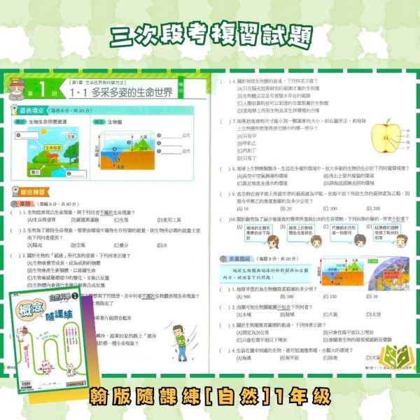 【隨課練/作業簿】國中作業簿 114上 114下 國中 7~9年級｜國文/英語/數學/自然科學/地理/歷史/公民｜適用康軒/翰林/南億｜附解答 隨課練, 國中作業簿, 康軒, 翰林, 南億, 國一, 國二, 國三, 國文, 英語, 數學, 自然, 自然科學, 地理, 歷史, 公民, 附解答, 114上,114下, 課後練習, 基礎題型, 易懂題目, 觀念引導