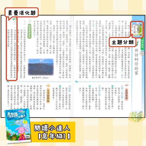 店長推薦 閱讀首選 翰林國小【閱讀小達人】低/中/高年級｜附QR國語補充學習/附解答｜【國小國語輔材】 翰林國小 閱讀小達人 1-6年級 國小國語附解答 跨領域閱讀 生活化文章 素養測驗 QR補充影片 自主學習 課綱銜接 閱讀理解能力