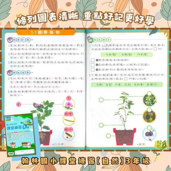 翰林國小 114下 課堂練習《學生用/教師用》國小1~6年級 國語 數學 生活 自然 社會 翰林課堂練習、114下、國小學生用教材、教師用解答、國語、數學、自然、社會、生活、國小1~6年級