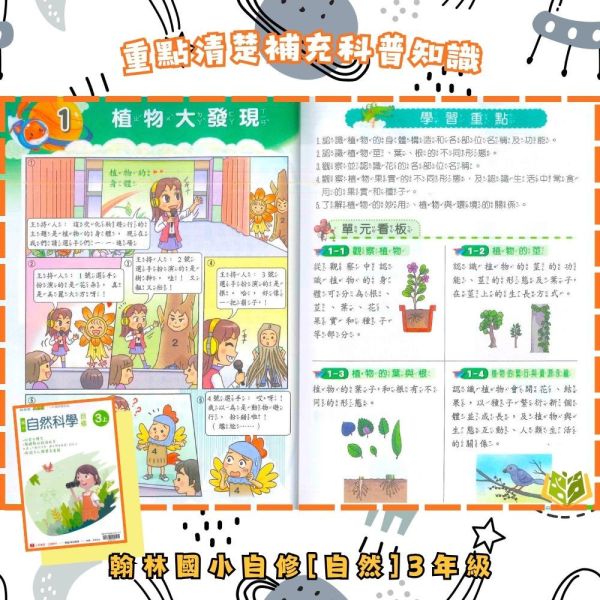 翰林國小 114下【國小自修】小無敵自修 國小1~6年級｜國語/數學/生活/自然/社會｜附課本/習作解答/附解答｜ 114下, 新無敵自修, 國小自修, 翰林版, 國語, 數學, 自然, 社會, 生活, 1~6年級, 附課本解答, 附習作解答