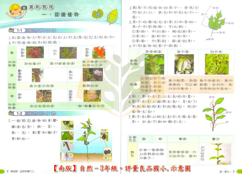 良品國小 國小評量 講義式評量 適用南一 114上 113下 國小1~6年級 國語 數學 生活 自然 社會 附解答 附5回月考複習卷 