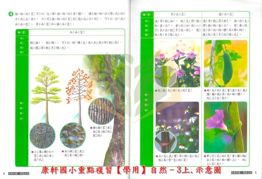 康軒國小 114上 最新版 重點複習《學生用/教師用》國小1~6年級 國語 數學 自然 社會 康軒重點複習、114上、國小複習教材、學生用無解答、教師用解答、國小1~6年級、國語、數學、自然、社會