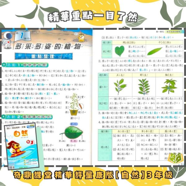 奇鼎國小 114上《課堂精華評量》適用康軒 國小1~6年級 國語/數學/生活/自然/社會 附解答 附5回月考複習卷 114上, 奇鼎, 國小評量, 課堂精華評量, 康軒版, 國語, 數學, 自然, 生活, 社會, 附解答, 月考複習卷, 安親班, 條列重點, 考前複習