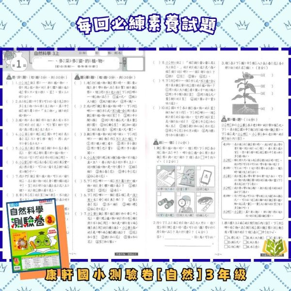 康軒國小 114下【國小測驗卷】國小1~6年級｜國語/數學/生活/自然/社會｜附解答+雙面試題｜ 114下, 康軒國小, 國小測驗卷, 國小考卷, 模擬試題, 雙面試題, 可撕式, 國語, 數學, 自然, 社會, 生活, 附解答, 考前複習