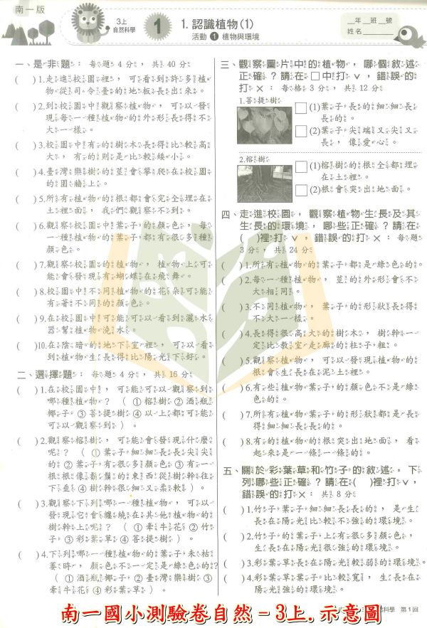 南一國小 114上 最新版《國小測驗卷》國小1~6年級 國語 數學 生活 自然 社會 附解答+雙面試題 114上, 南一國小, 國小測驗卷, 國小考卷, 模擬試題, 雙面試題, 可撕式, 國語, 數學, 自然, 社會, 生活, 附解答, 考前複習