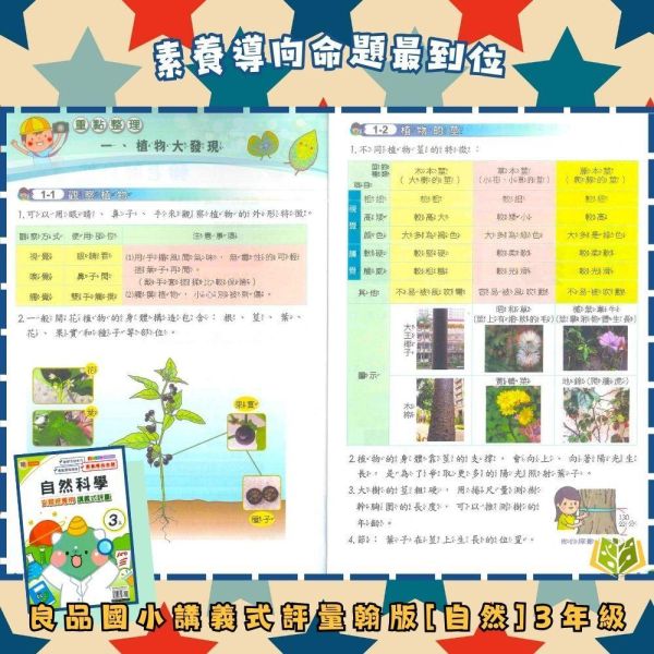 良品國小 115上｜【講義式評量】｜適用翰林版｜國小1~6年級｜國語/數學/生活/自然/社會｜附解答＋5回月考複習卷 良品國小115上,講義式評量,翰林版,國小評量,國語評量,數學評量,生活評量,自然評量,社會評量,月考複習卷,附解答