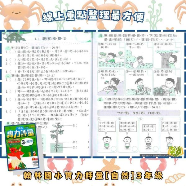 【預購】翰林國小 115上｜【實力評量】｜國小1~6年級｜國語/數學/生活/自然/社會｜附練習簿/解答 翰林國小115上,實力評量,國小評量,國語評量,數學評量,生活評量,自然評量,社會評量,練習簿,附解答