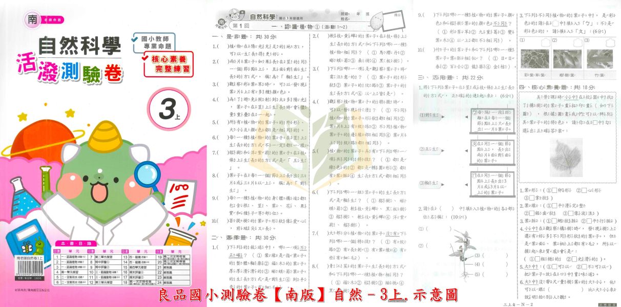 良品國小 國小測驗卷 活潑測驗卷 適用南一 114上 113下 國小1~6年級 國語 英語 數學 自然 社會 雙面試題 附解答 