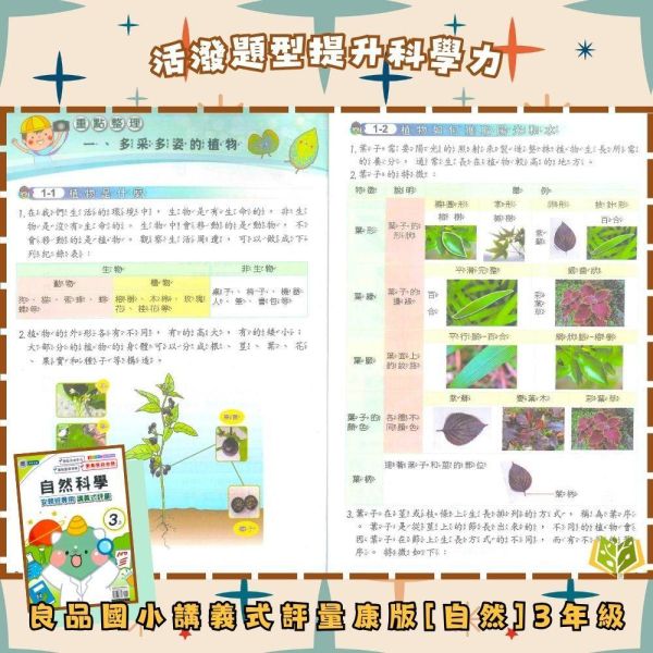 良品國小 115上｜【講義式評量】｜適用康軒版｜國小1~6年級｜國語/數學/生活/自然/社會｜附解答＋5回月考複習卷 良品國小115上,講義式評量,康軒版,國小評量,國語評量,數學評量,生活評量,自然評量,社會評量,月考複習卷,附解答