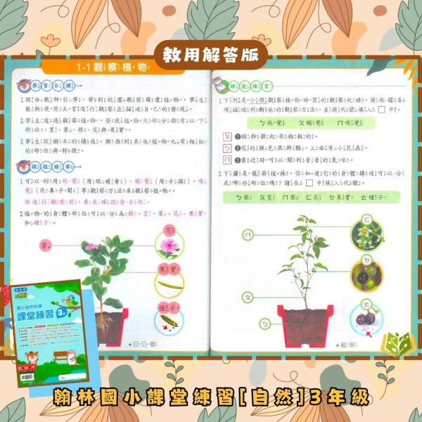 翰林國小 114下 課堂練習《學生用/教師用》國小1~6年級 國語 數學 生活 自然 社會 翰林課堂練習、114下、國小學生用教材、教師用解答、國語、數學、自然、社會、生活、國小1~6年級