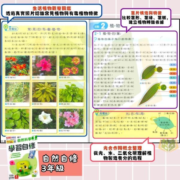 康軒國小 115上｜【國小自修】學習自修｜國小1~6年級｜國語/數學/生活/自然/社會｜附課本/習作解答 康軒國小115上,學習自修,國小自修,國語自修,數學自修,生活自修,自然自修,社會自修,課本解答,習作解答