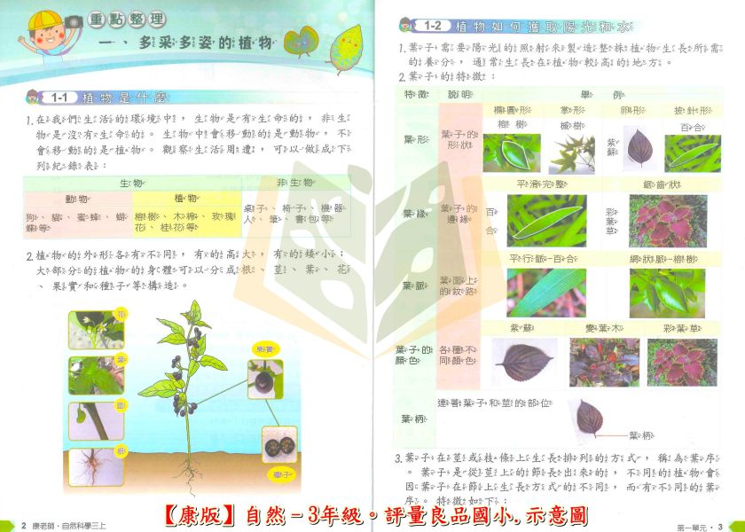 良品國小 國小評量 講義式評量 適用康軒 114上 113下 國小1~6年級 國語 數學 生活 自然 社會 附解答 附5回月考複習卷 