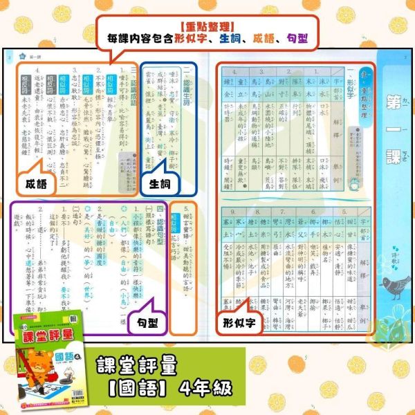 明霖國小 115上｜【課堂評量】國小評量｜適用翰林版｜國小1~6年級｜國語/數學/生活/自然/社會｜附解答＋5回月考複習卷＋1回全冊複習卷 明霖國小115上,課堂評量,翰林版,國小評量,國語評量,數學評量,生活評量,自然評量,社會評量,月考複習卷,全冊複習卷,附解答