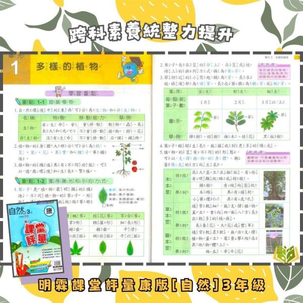 明霖國小 115上｜【課堂評量】國小評量｜適用康軒版｜國小1~6年級｜國語/數學/生活/自然/社會｜附解答＋5回月考複習卷＋1回全冊複習卷 明霖國小115上,課堂評量,康軒版,國小評量,國語評量,數學評量,生活評量,自然評量,社會評量,月考複習卷,全冊複習卷,附解答
