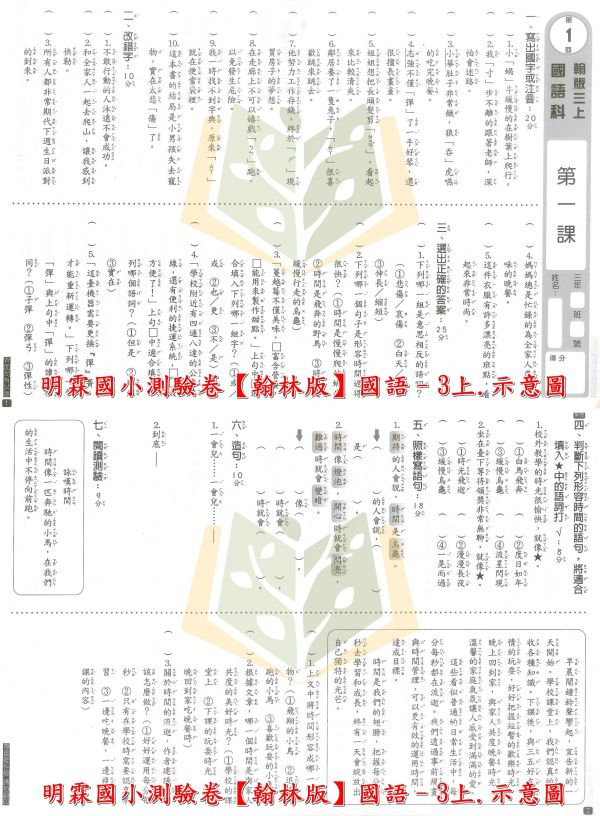 明霖國小 測驗卷 素養測驗卷 適用康軒 翰林 南一 114上 國小1~6年級 國語 數學 自然 社會 雙面試題 附解答 