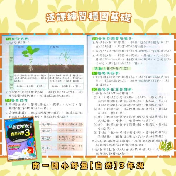 南一國小 114下 國小評量《學習成就評量》國小1~6年級 國語 數學 生活 自然 社會 附練習簿/解答 114下, 南一國小, 國小評量, 學習成就評量, 國語, 數學, 自然, 社會, 生活, 1~6年級, 練習簿, 附解答, 課後練習